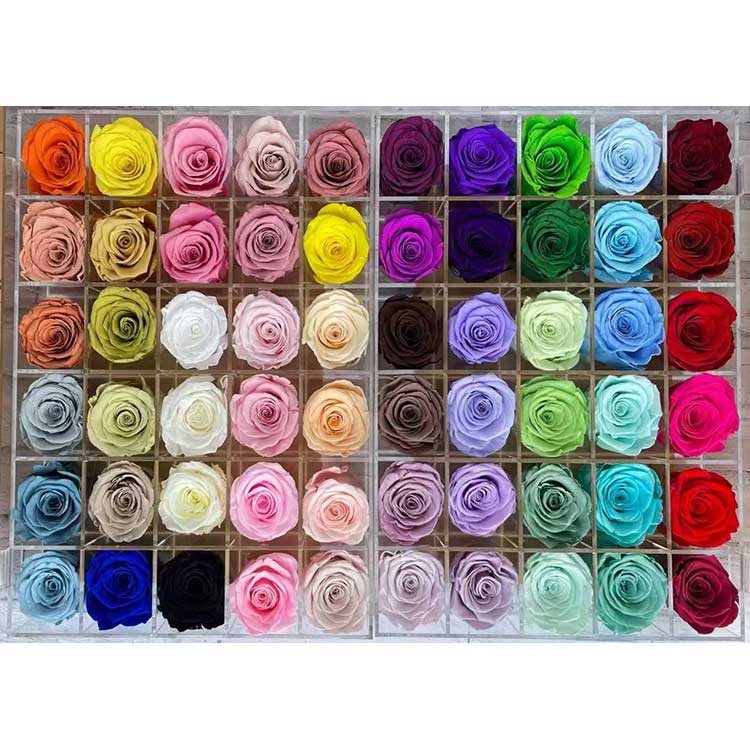 संरक्षित गुलाब